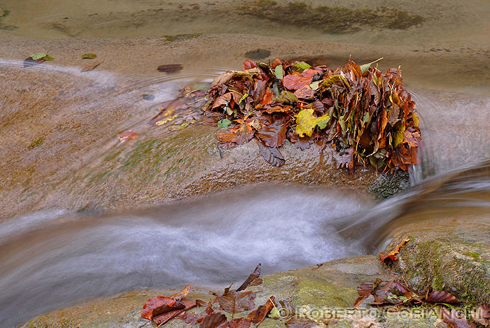 Valle dell''Acqua Cheta